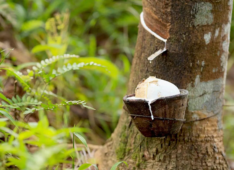 98 % DES COLLES À BASE AQUEUSE ÉCOLOGIQUE